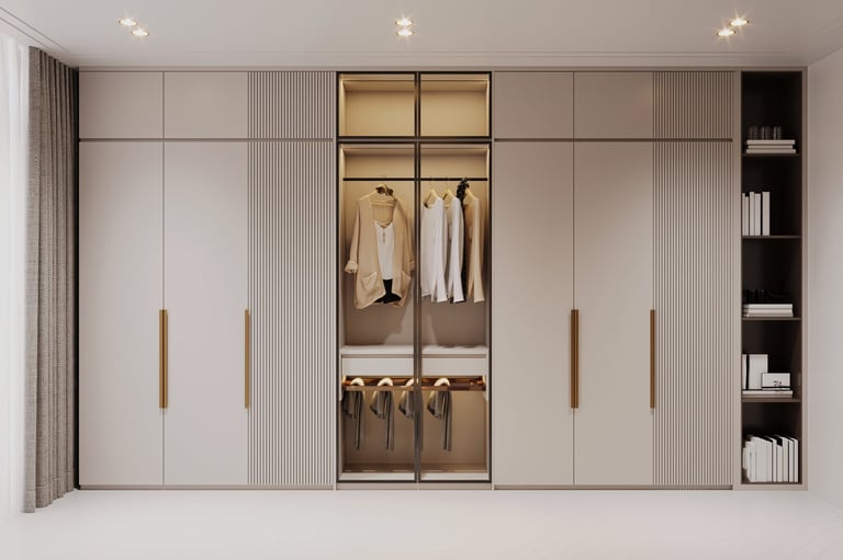 Modern built-in wardrobe closet